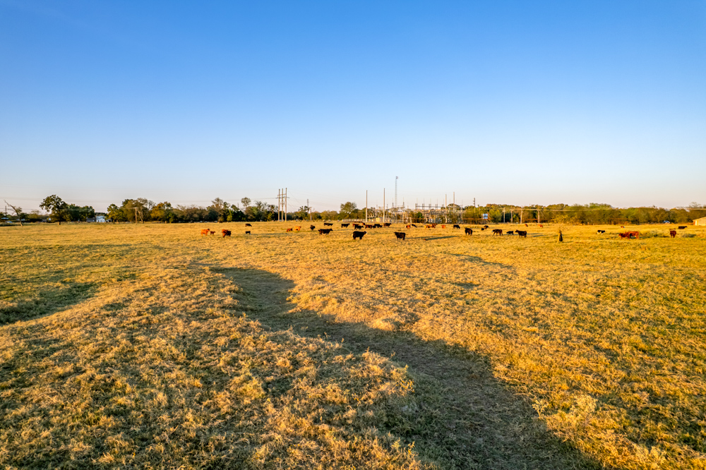 Stunning Multi-Purpose Farm Just 4 Minutes From Award Winning Bass Fishing on Lake Fork