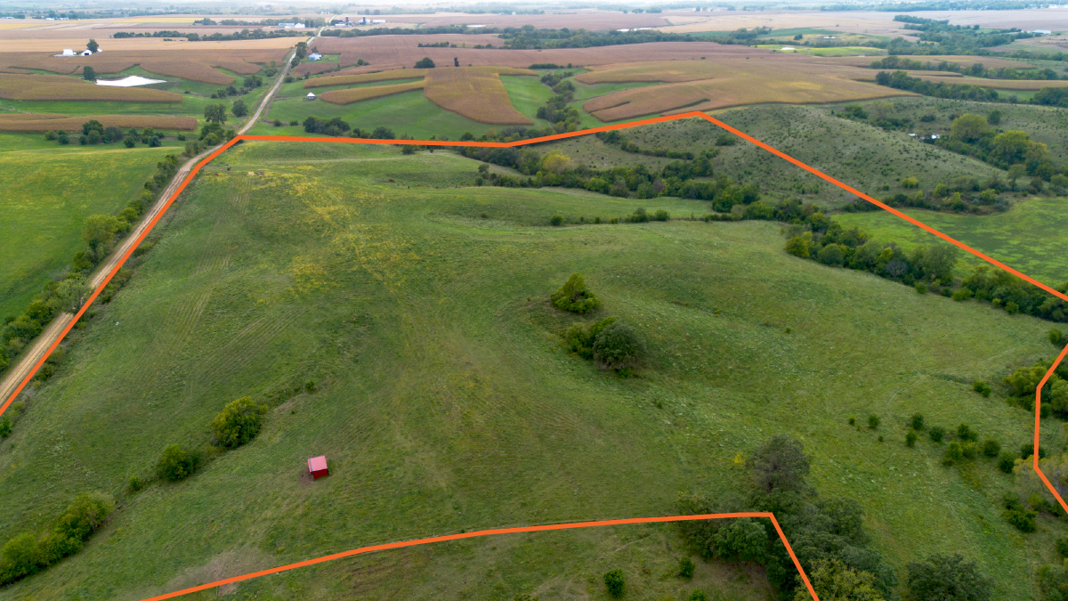 Scenic 53.75 +/- Acre Recreational Tract with Pasture and Hunting Potential