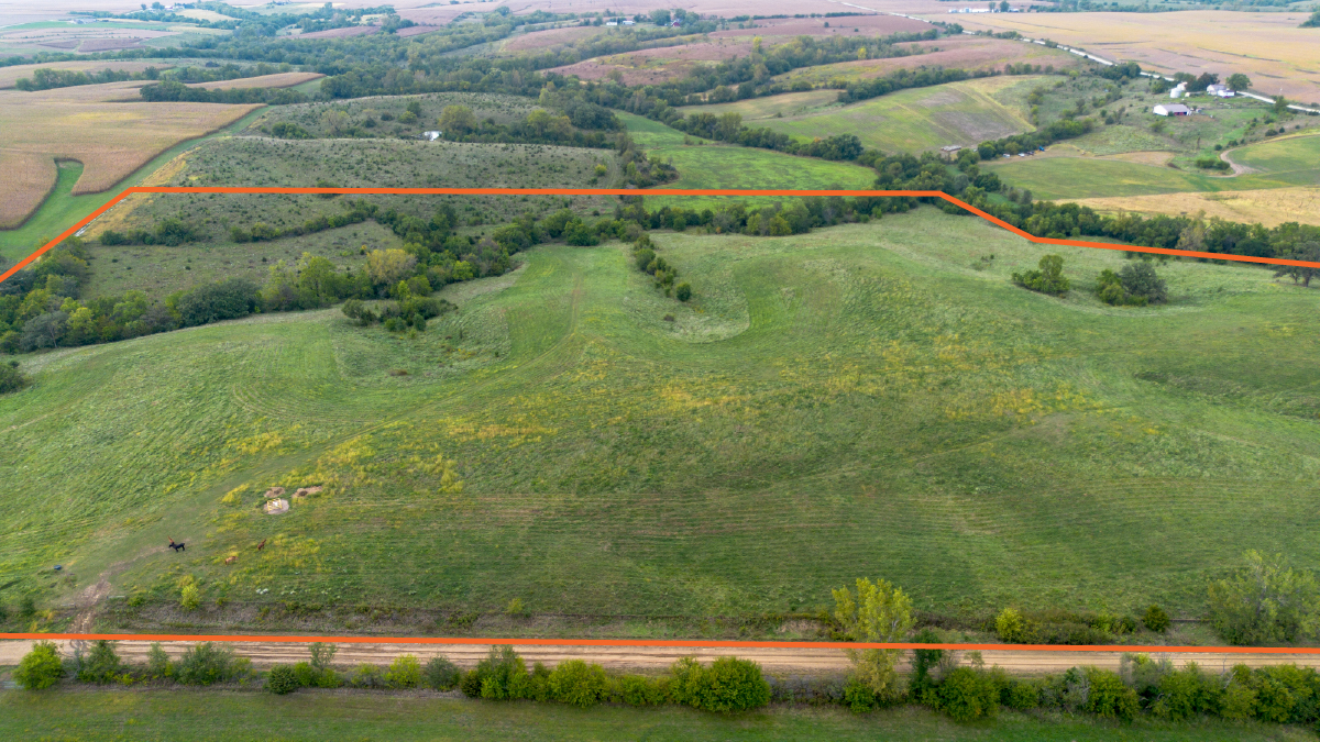 Scenic 53.75 +/- Acre Recreational Tract with Pasture and Hunting Potential