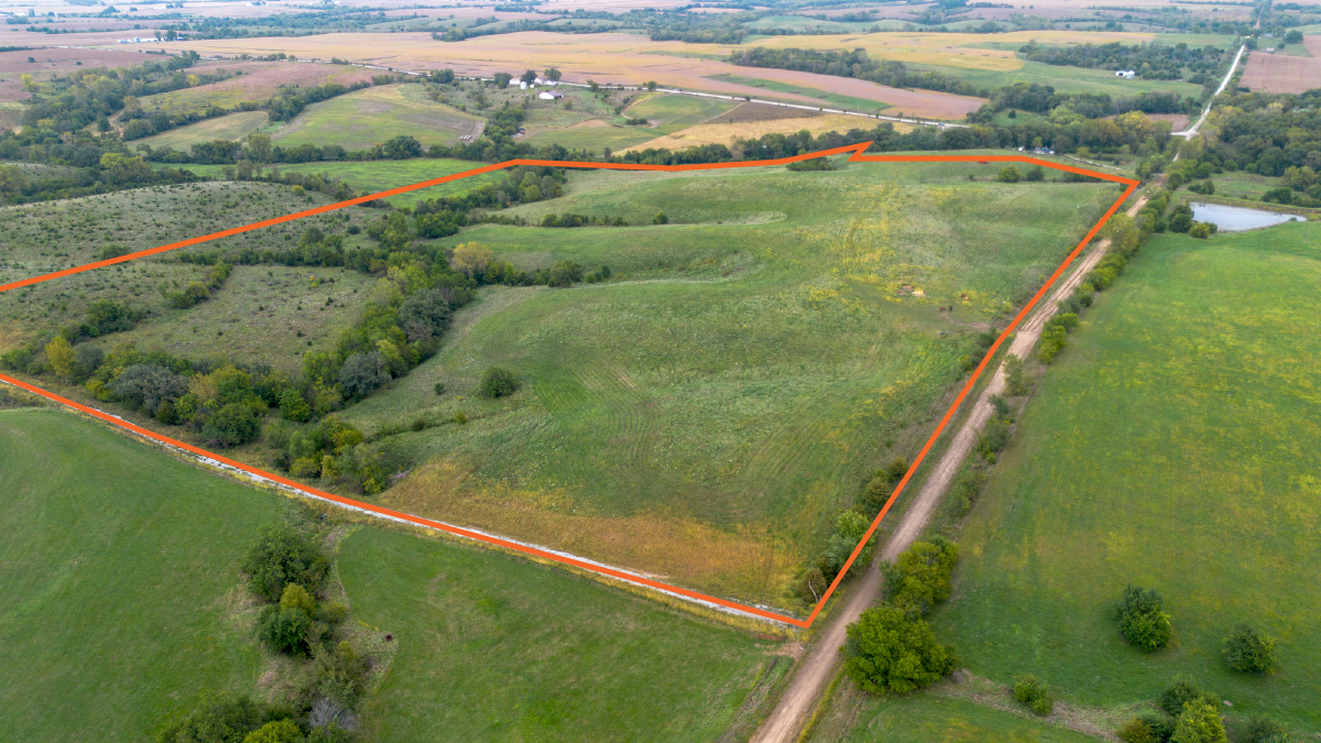 Scenic 53.75 +/- Acre Recreational Tract with Pasture and Hunting Potential