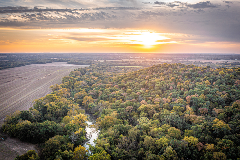 Big Bucks, Big Timber, and Big Income