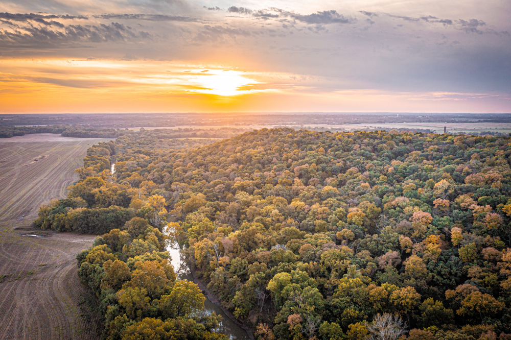 Big Bucks, Big Timber, and Big Income