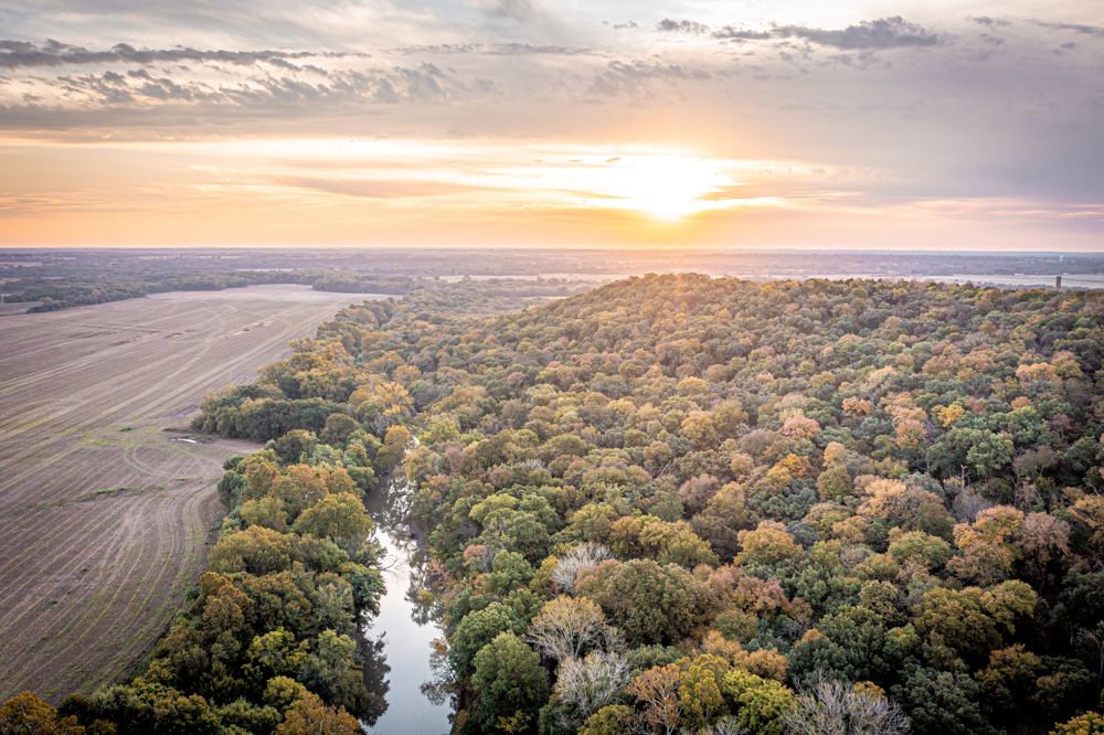 Big Bucks, Big Timber, and Big Income