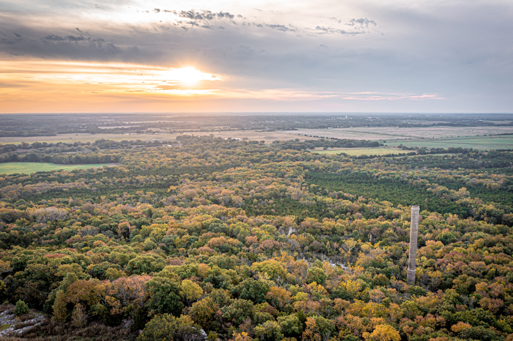 Big Bucks, Big Timber, and Big Income