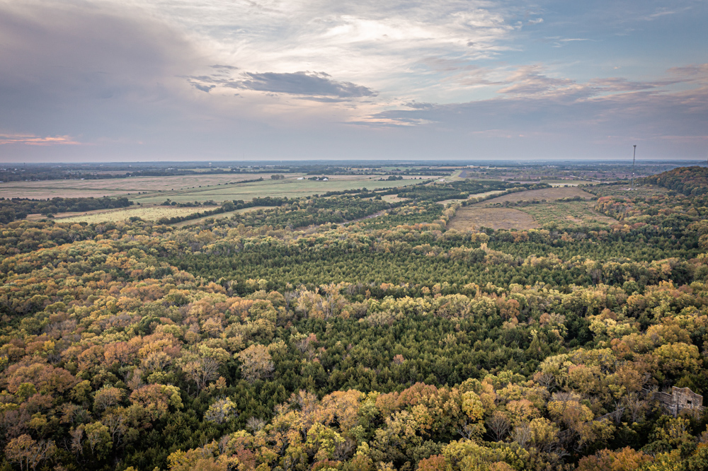 Big Bucks, Big Timber, and Big Income