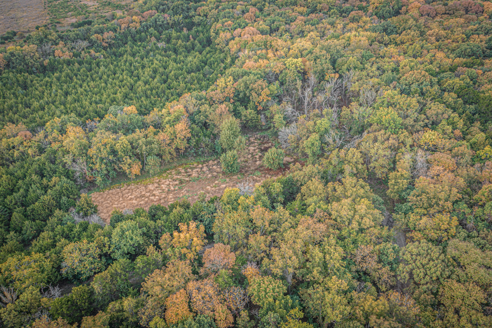 Big Bucks, Big Timber, and Big Income