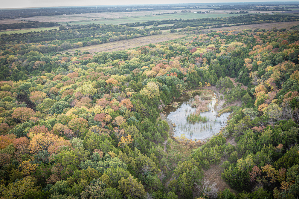 Big Bucks, Big Timber, and Big Income