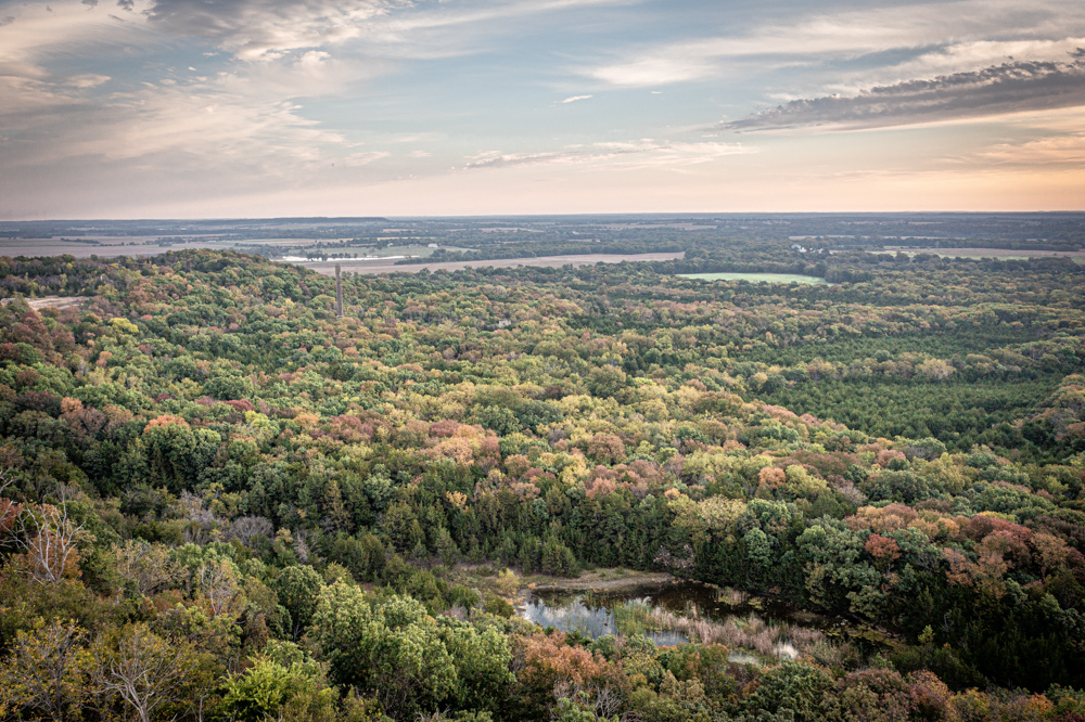 Big Bucks, Big Timber, and Big Income