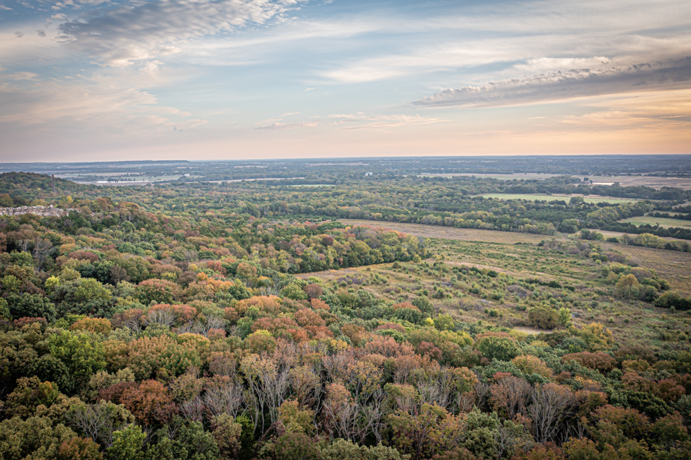Big Bucks, Big Timber, and Big Income