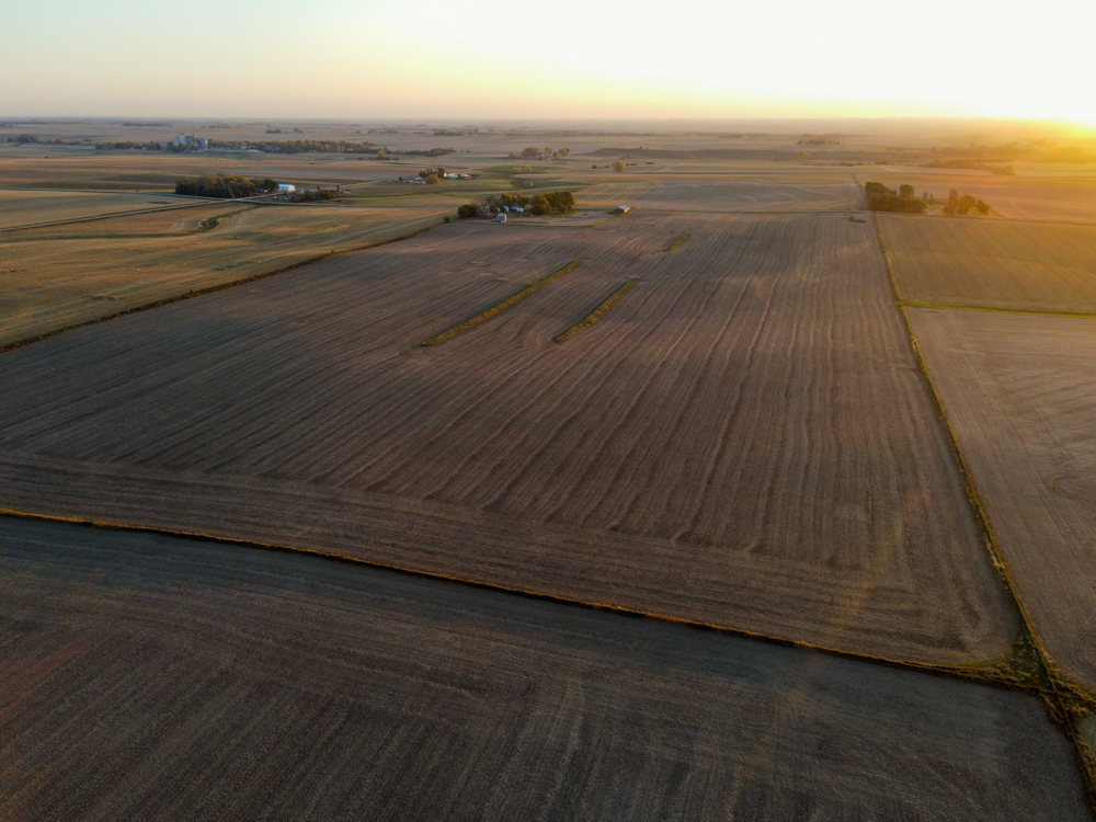 Exceptional Production Farm