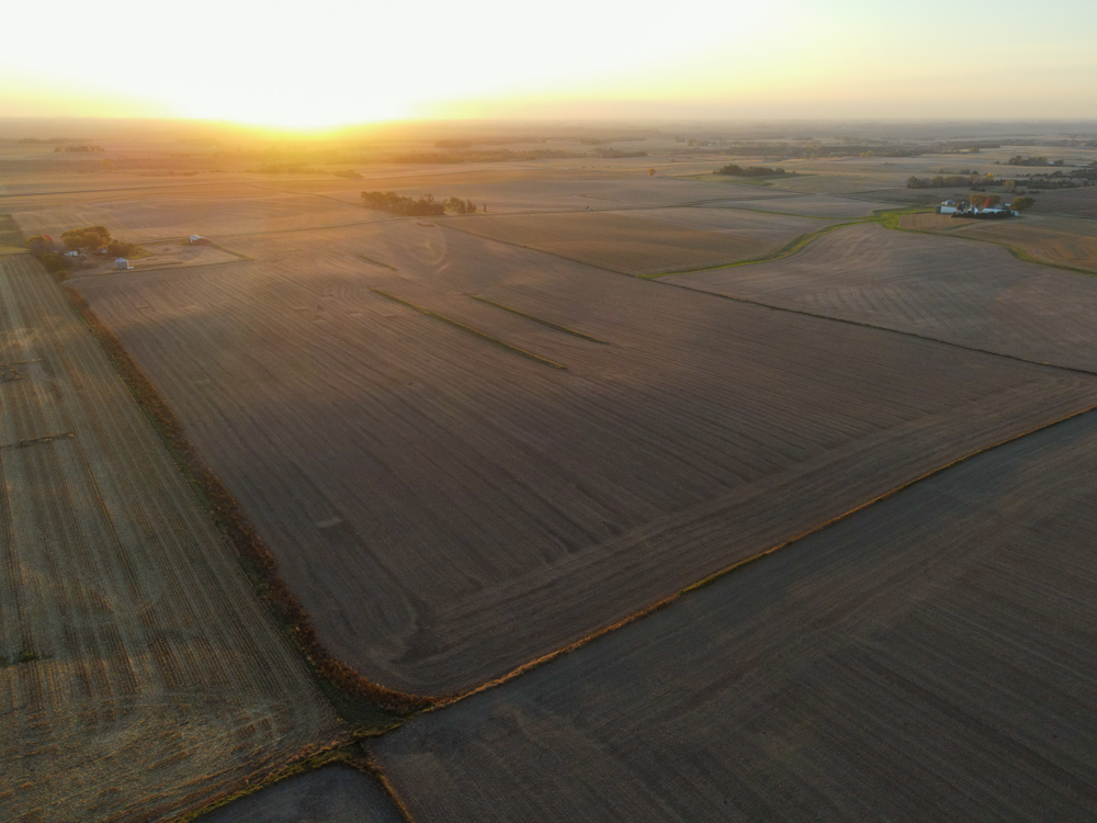 Exceptional Production Farm