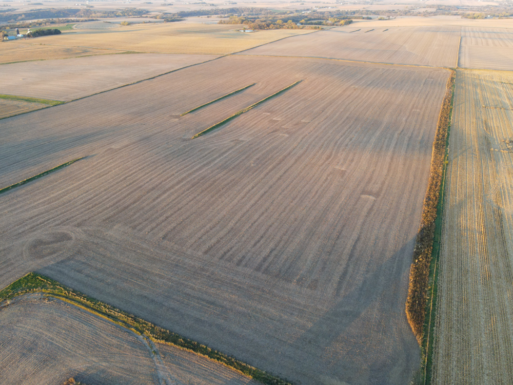 Exceptional Production Farm