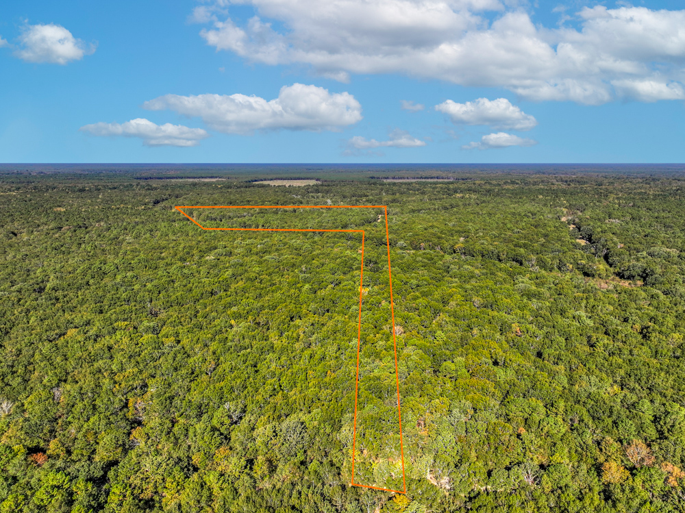 Prime East Texas Hunting Retreat - 42 Acres of Timber and Privacy