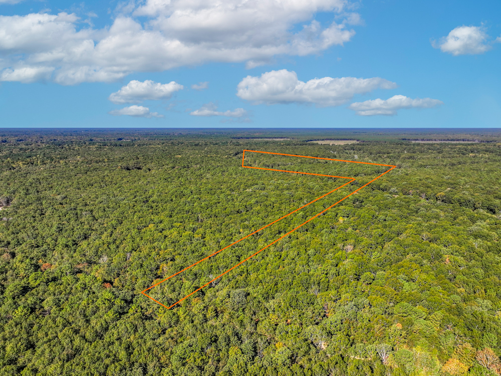 Prime East Texas Hunting Retreat - 42 Acres of Timber and Privacy