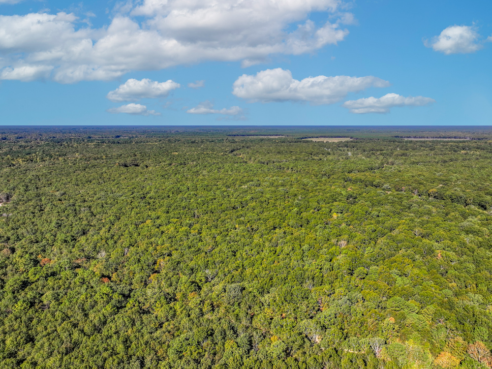 Prime East Texas Hunting Retreat - 42 Acres of Timber and Privacy