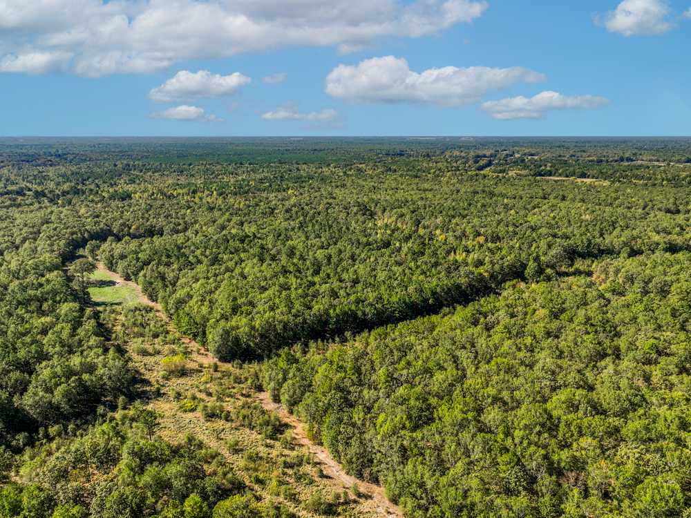 Prime East Texas Hunting Retreat - 42 Acres of Timber and Privacy