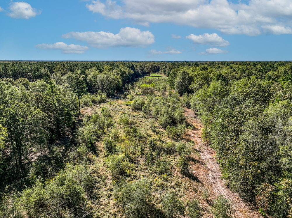 Prime East Texas Hunting Retreat - 42 Acres of Timber and Privacy
