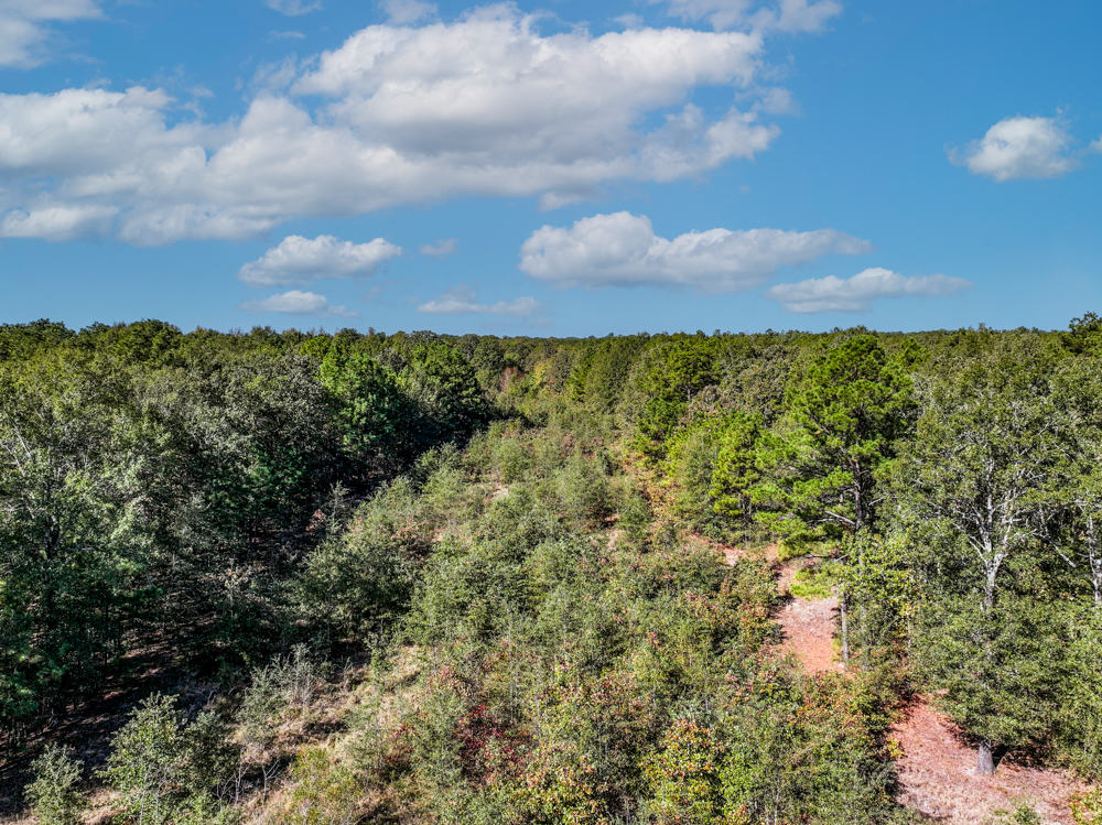 Prime East Texas Hunting Retreat - 42 Acres of Timber and Privacy