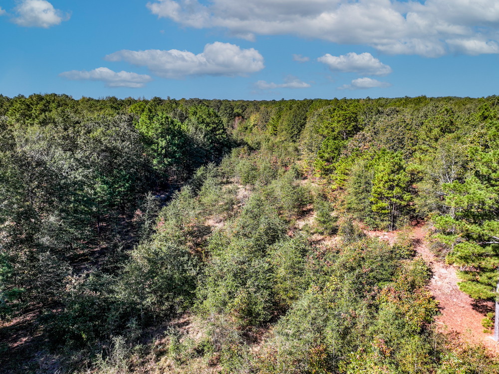 Prime East Texas Hunting Retreat - 42 Acres of Timber and Privacy