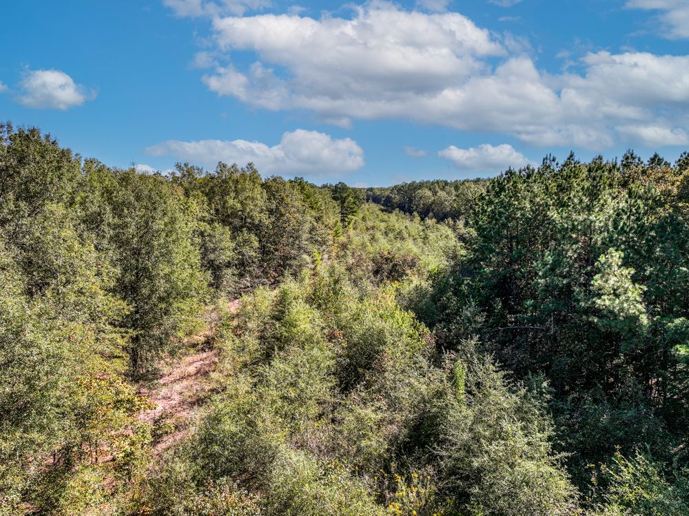 Prime East Texas Hunting Retreat - 42 Acres of Timber and Privacy
