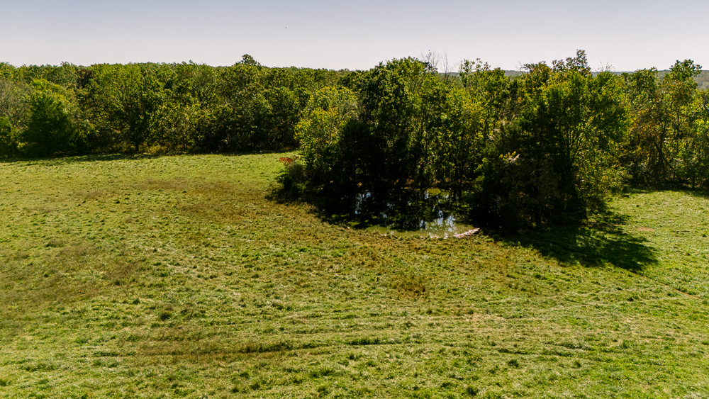 Perfect Build Site near Truman Lake in Lowry City