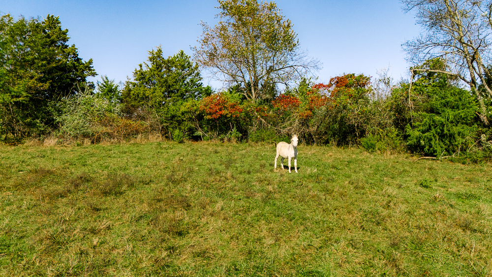 Perfect Build Site near Truman Lake in Lowry City