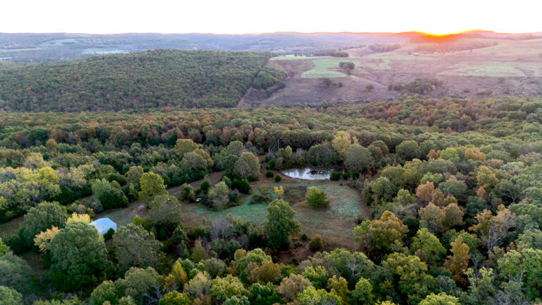 Premium Hunting Ground with Shop and Water Features