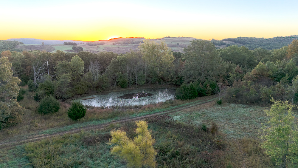 Premium Hunting Ground with Shop and Water Features