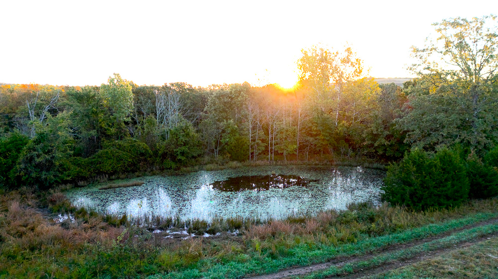 Premium Hunting Ground with Shop and Water Features