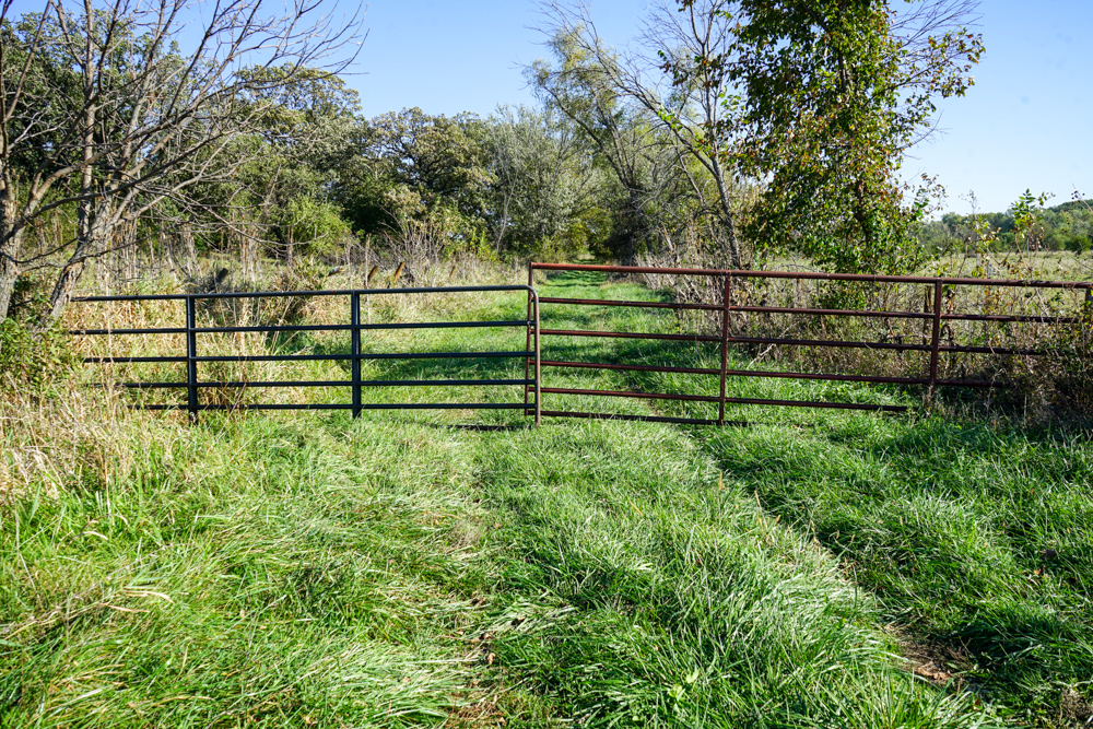 Exceptional Pasture Farm with World-Class Hunting & Recreational Potential