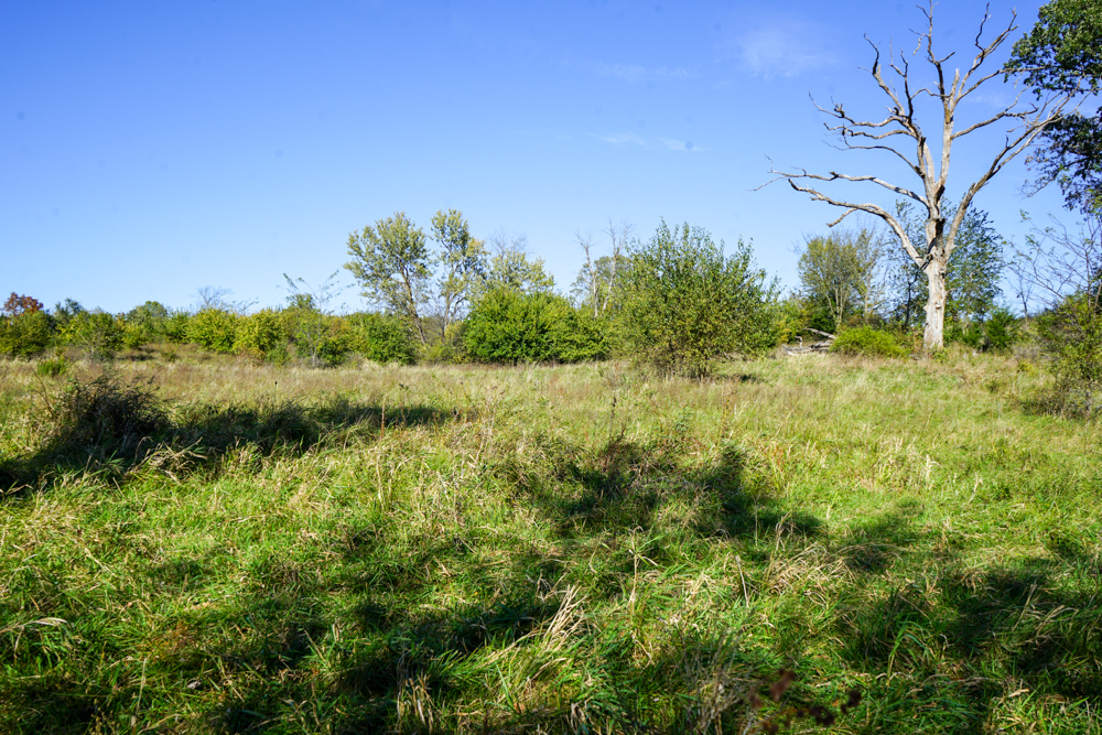 Exceptional Pasture Farm with World-Class Hunting & Recreational Potential
