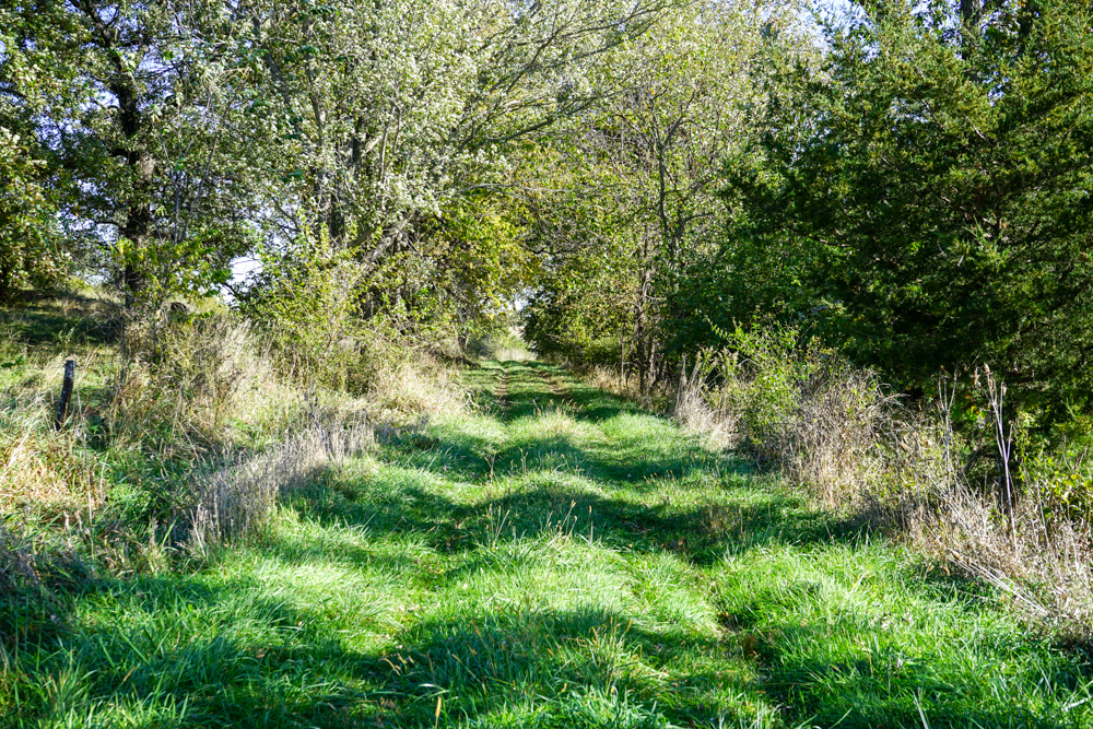 Exceptional Pasture Farm with World-Class Hunting & Recreational Potential