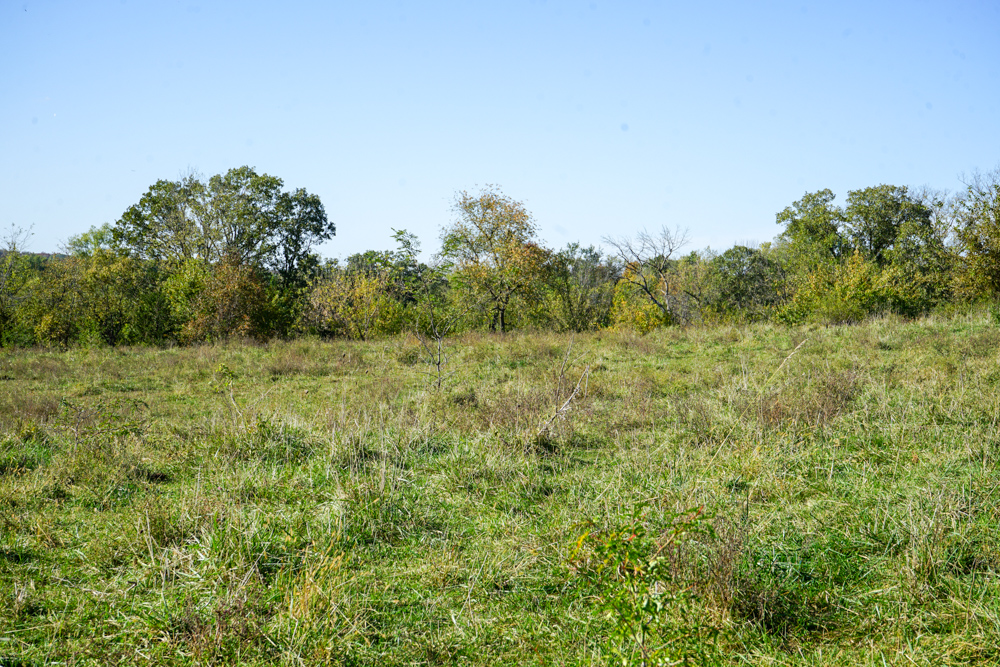 Exceptional Pasture Farm with World-Class Hunting & Recreational Potential
