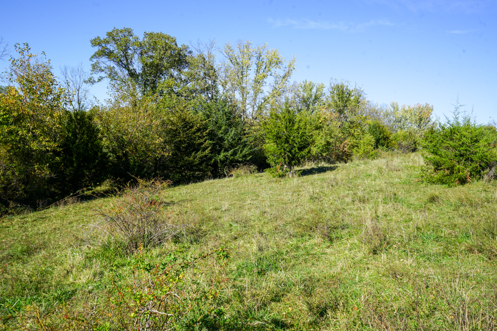 Exceptional Pasture Farm with World-Class Hunting & Recreational Potential