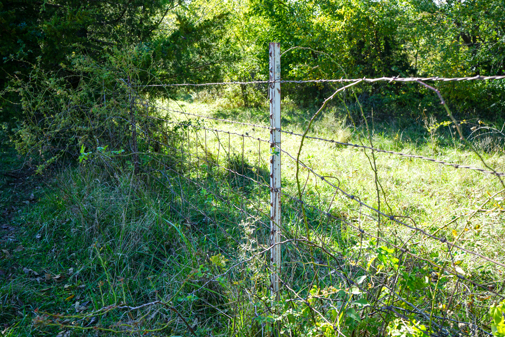 Exceptional Pasture Farm with World-Class Hunting & Recreational Potential