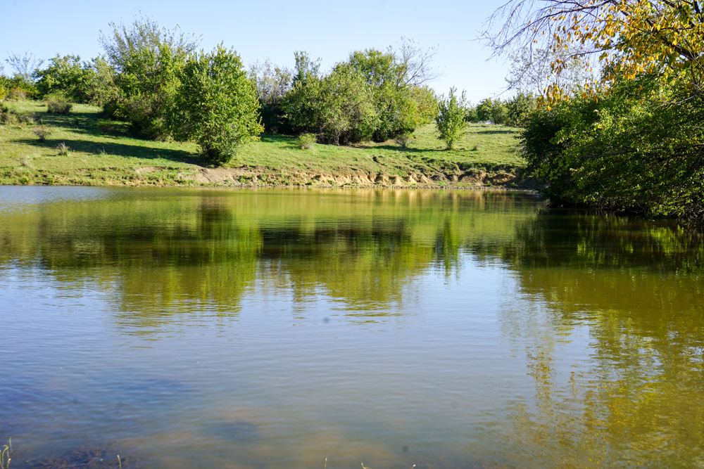 Exceptional Pasture Farm with World-Class Hunting & Recreational Potential