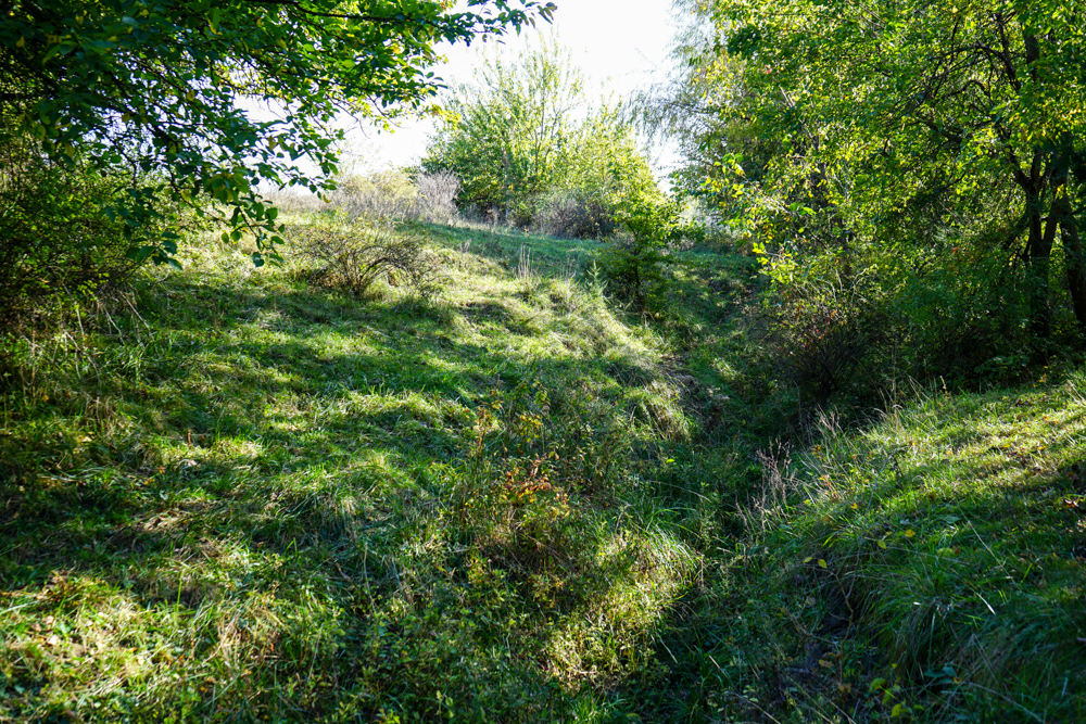 Exceptional Pasture Farm with World-Class Hunting & Recreational Potential