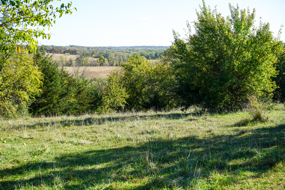 Exceptional Pasture Farm with World-Class Hunting & Recreational Potential