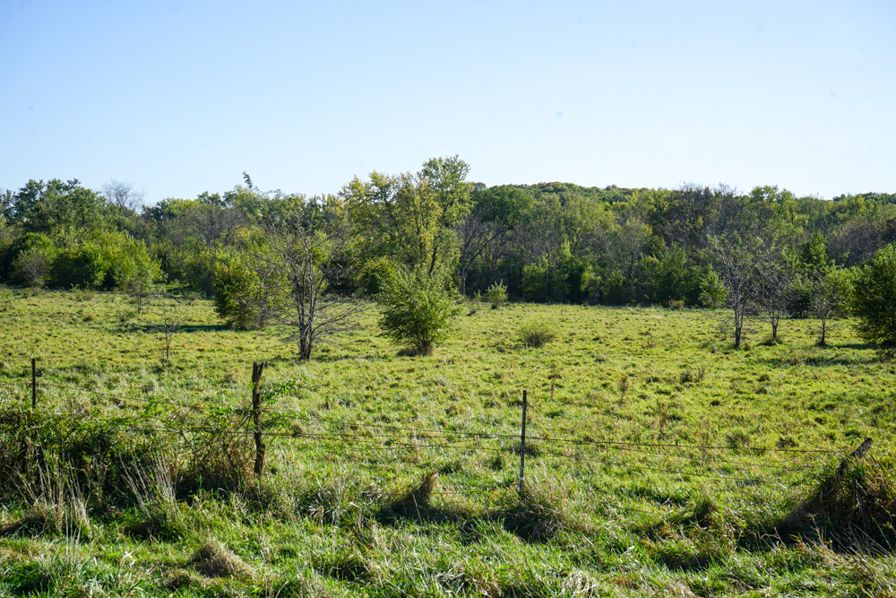 Exceptional Pasture Farm with World-Class Hunting & Recreational Potential