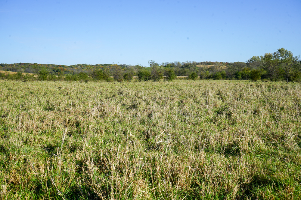 Exceptional Pasture Farm with World-Class Hunting & Recreational Potential