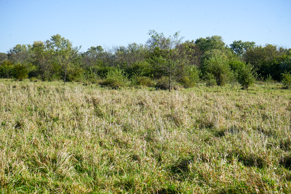 Exceptional Pasture Farm with World-Class Hunting & Recreational Potential