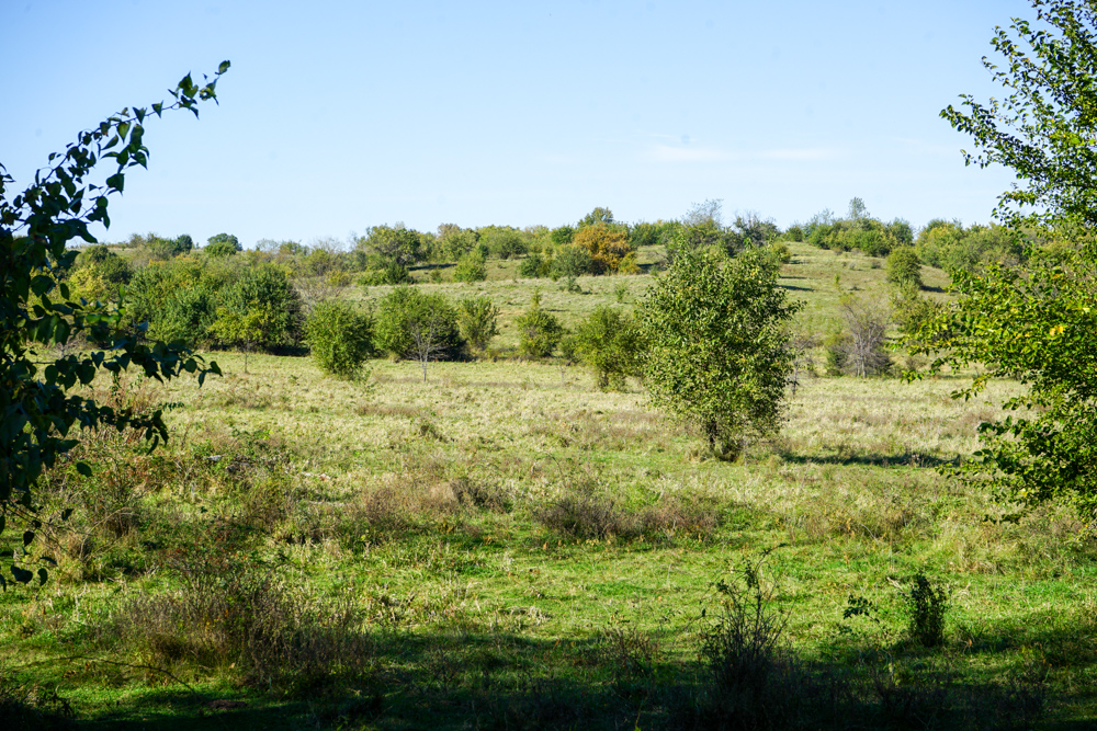 Exceptional Pasture Farm with World-Class Hunting & Recreational Potential