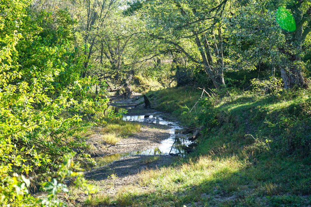 Exceptional Pasture Farm with World-Class Hunting & Recreational Potential