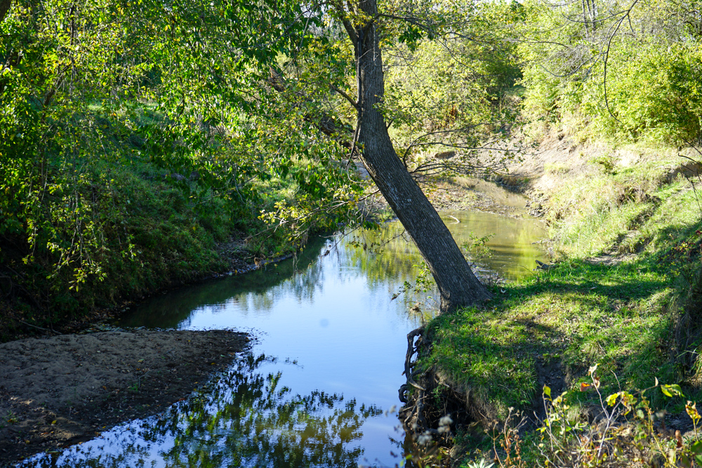 Exceptional Pasture Farm with World-Class Hunting & Recreational Potential