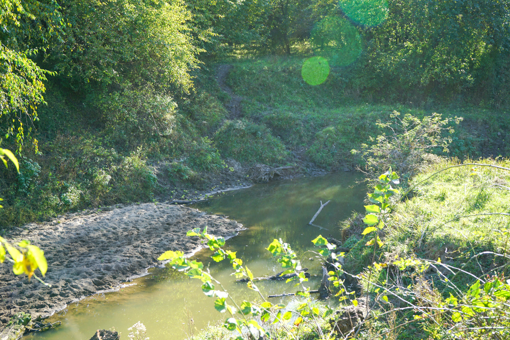 Exceptional Pasture Farm with World-Class Hunting & Recreational Potential