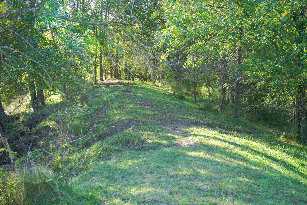 Exceptional Pasture Farm with World-Class Hunting & Recreational Potential