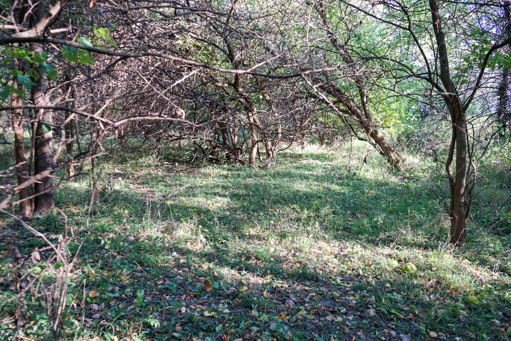 Exceptional Pasture Farm with World-Class Hunting & Recreational Potential