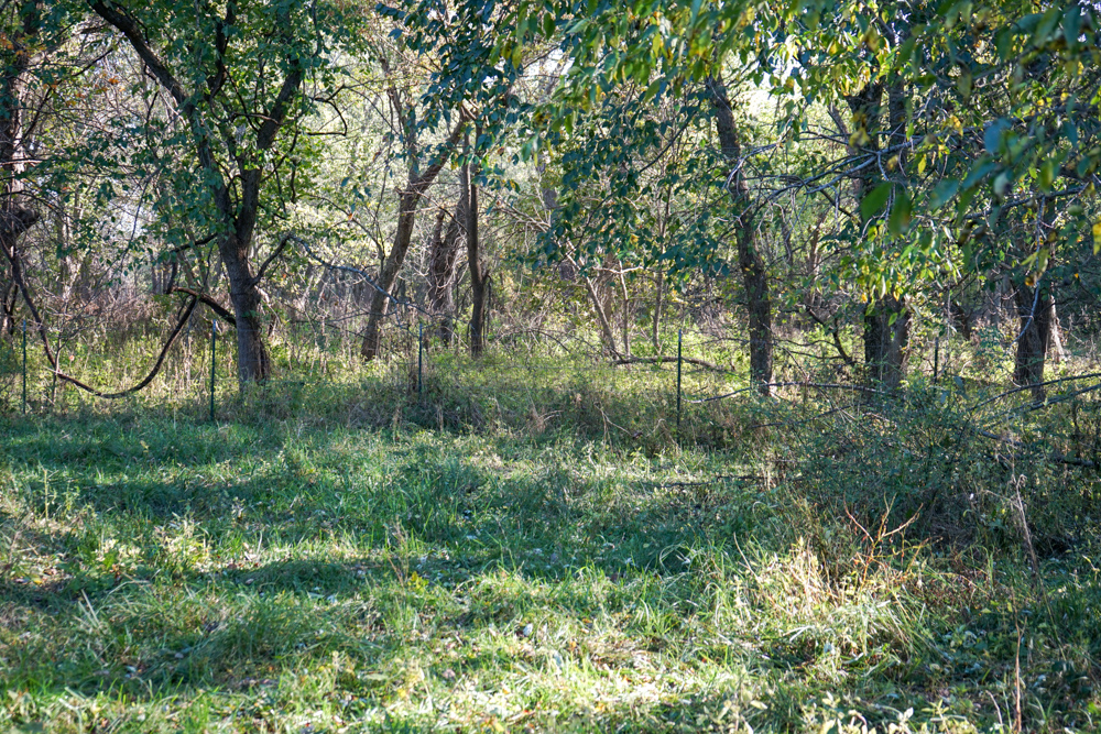 Exceptional Pasture Farm with World-Class Hunting & Recreational Potential