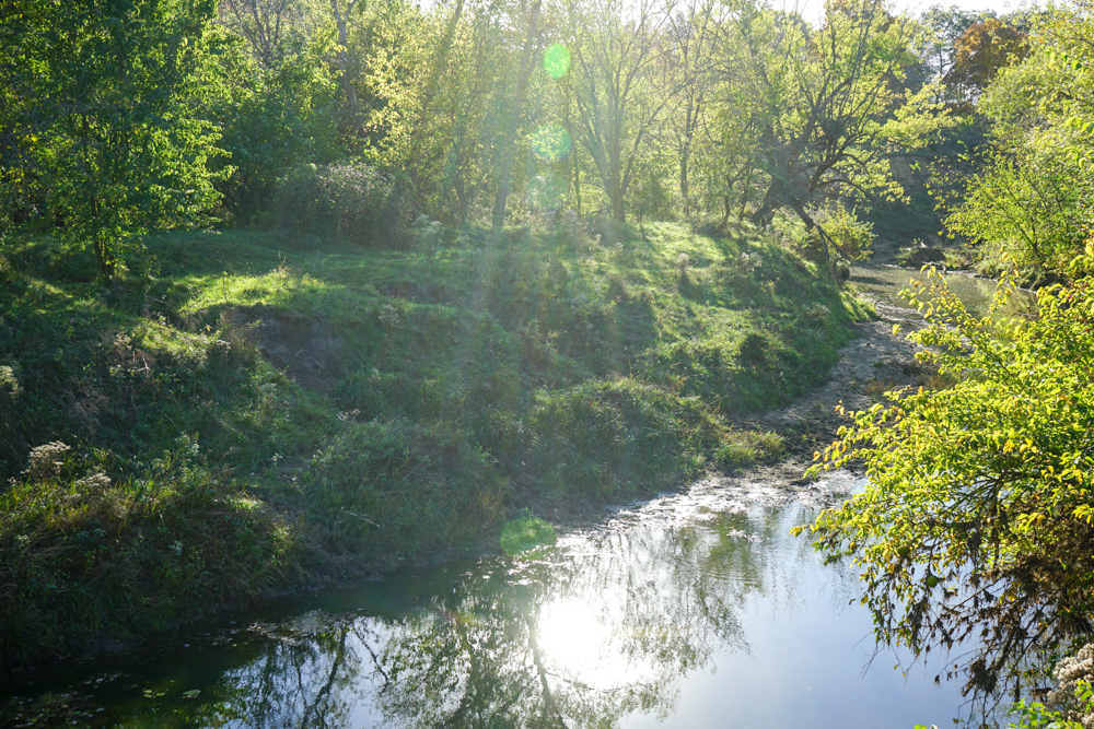 Exceptional Pasture Farm with World-Class Hunting & Recreational Potential