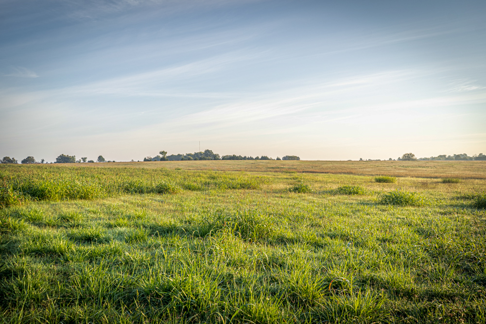 A Legacy of the Land - 316 Acres of Pride and Heritage